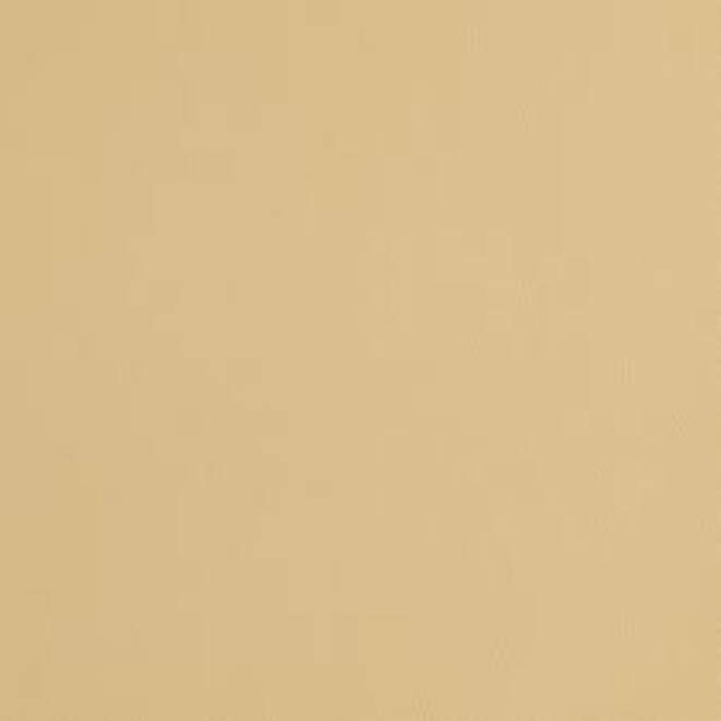 Matte Metallic Smart Vinyl™ – Removable, Champagne (12 ft)