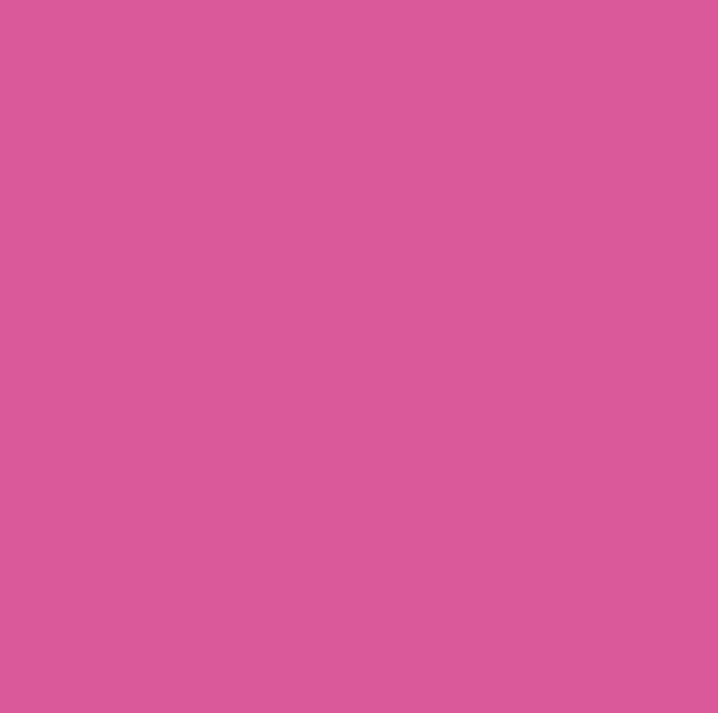 Infusible Ink™ Transfer Sheets (0.3m / 1ft)