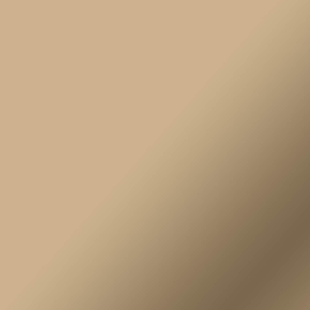 Smart Vinyl™ Matte Metallic – Permanent (0.9 m / 3ft)