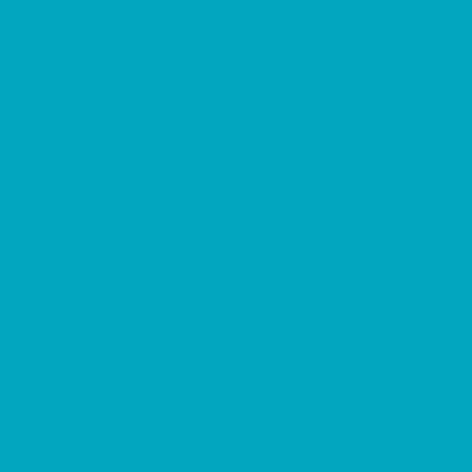 Vinyl – Permanent (1.2m / 4 ft)