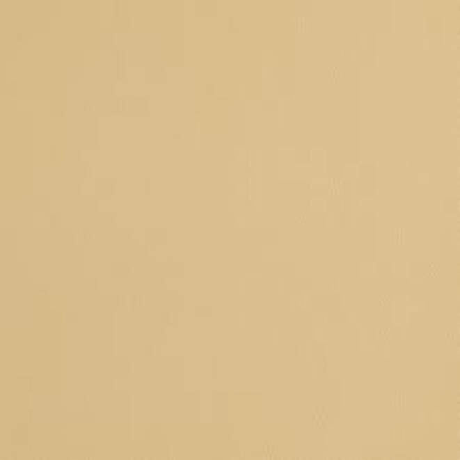 Matte Metallic Smart Vinyl™ – Removable, Champagne (3 ft)