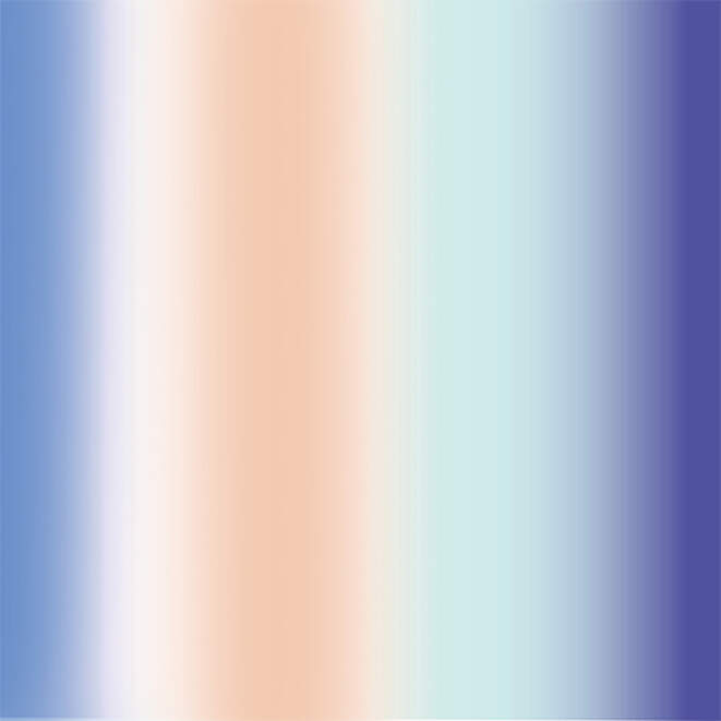 Holographic Vinyl Sampler
