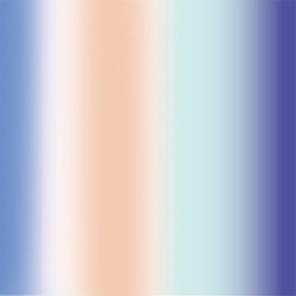 Holographic Vinyl Sampler