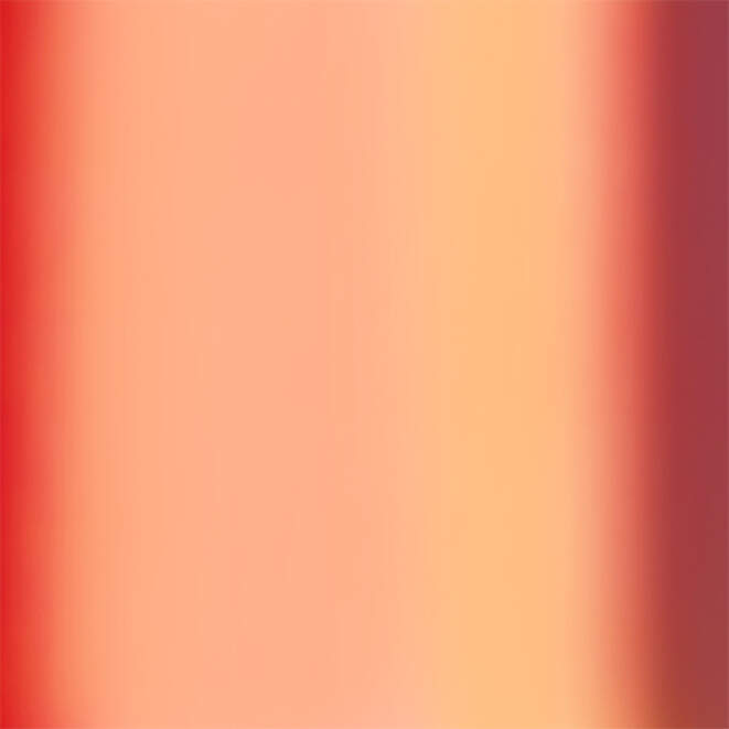 Holographic Vinyl Sampler
